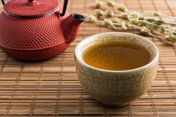 Šálek Čaje Japonské Tradiční Styl Červené Čajník Suchý Čaj Přírodní Stock Fotografie