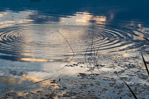 Ondulations Circulaires Dans Eau Lac Artificiel Thessalie Grèce Lever Soleil — Photo