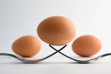 Beyaz arka plan üzerinde iki çatal üzerinde dengede yumurta. Arka planda yak²n iki daha fazla yumurta