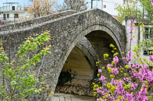 Veduta Del Tradizionale Ponte Pietra Nella Città Elassona Tessaglia Grecia — Foto Stock