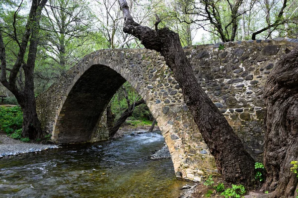 Uitzicht Venetiaanse Stenen Brug Van Tzelefos Cyprus — Stockfoto