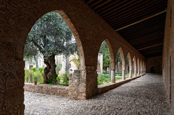 アヤナパのアヤナパの中世修道院の一部 キプロス — ストック写真