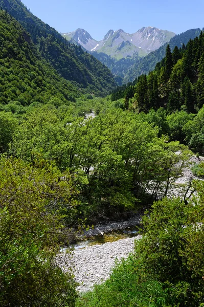 Φαράγγι Και Δάσος Στην Περιοχή Των Αγραφίων Βουνών Στη Θεσσαλία — Φωτογραφία Αρχείου