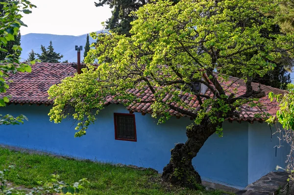 圣乔治教堂 在希腊塞萨利的安佩拉基亚村 其独特的蓝色 — 图库照片