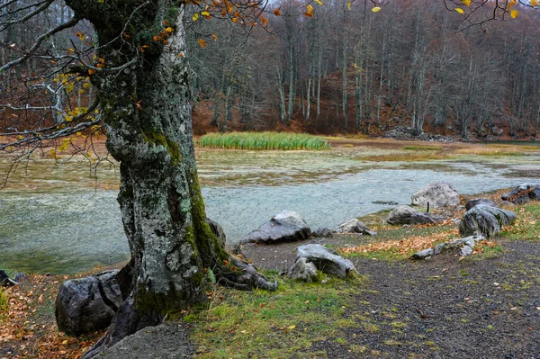 Utsikt Över Arenes Eller Moutsalia Alpin Sjö Grammos Grekland Hösten — Stockfoto