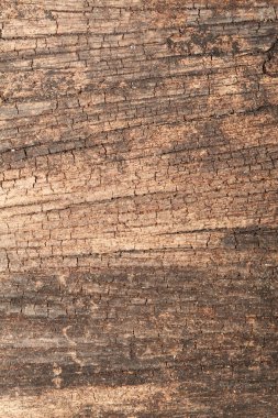 Arkaplan için ahşap doku.