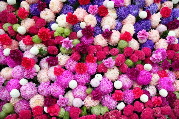 Renkli Çiçek Tonu Pembe Arka Plan — Stok fotoğraf
