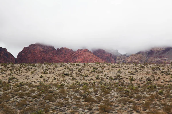 Vue Canyon Rocheux Rouge Foggy Day Nevada États Unis — Photo