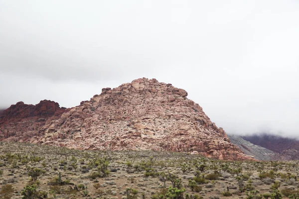 Vista Del Cañón Roca Roja Día Niebla Nevada — Foto de Stock