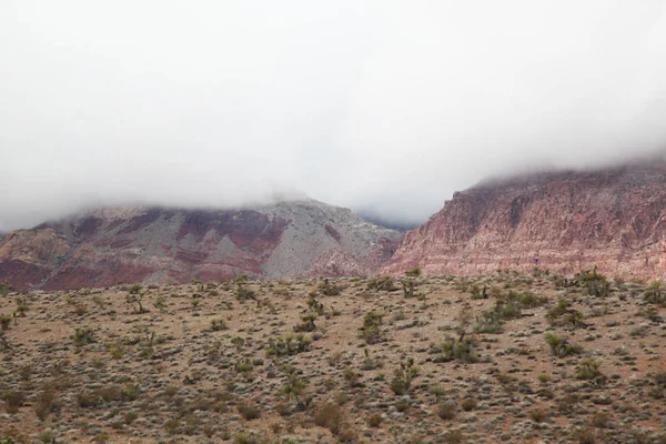 Nézd Vörös Szikla Kanyon Ködös Nap Nevada Amerikai Egyesült Államok — Stock Fotó