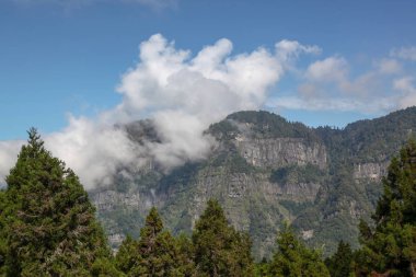 Tayvan 'daki alishan Ulusal Parkı' ndaki dağdaki bulutlu hava
