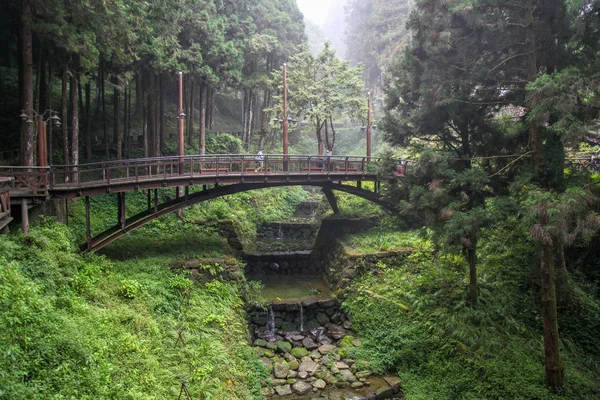 Alişan ormandaki ahşap köprü, Tayvan