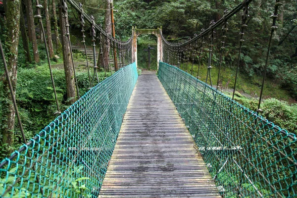 Ponte Verde Floresta Alishan Taiwan — Fotografia de Stock