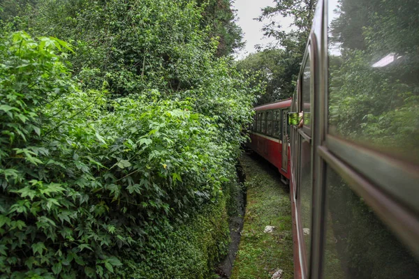 Alishan Taiwan October 2018 Tren Rojo Corre Día Brumoso Línea — Foto de Stock