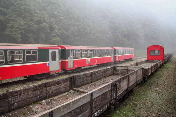 Alishan Taiwan Oktober 2018 Rode Trein Stopt Mistige Dag Het — Stockfoto