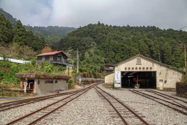 Fenchihu Tayvan Ekim 2018 Alishan Dağı Nda Fenchihu Eski Tren — Stok fotoğraf