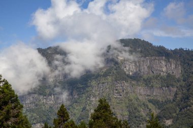 Tayvan 'daki alishan Ulusal Parkı' ndaki dağdaki bulutlu hava