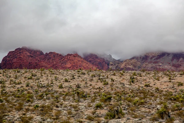 Vy över Red Rock Canyon National Park i dimmig dag i Nevada, USA — Stockfoto