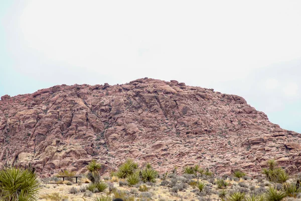 Pohled na národní park Rudého skalového kaňonu ve Foggy v Nevadě, USA — Stock fotografie