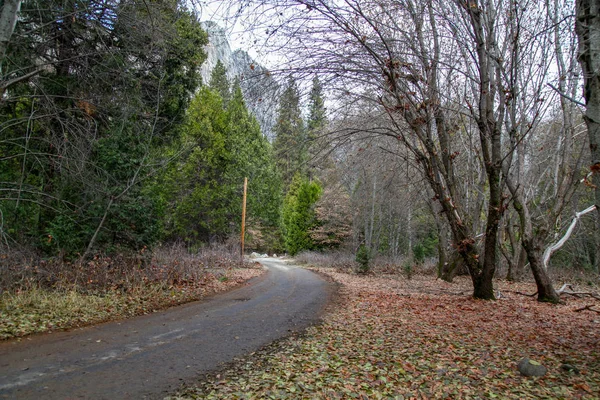 Výhled na pěší cestu v Yosemite National Park v zimním moři — Stock fotografie