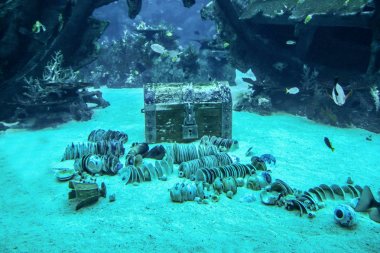 Singapur-13 Nisan 2016: Treasure Chest at S. E. A akvaryum, S