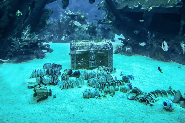 SINGAPUR - 13 DE ABRIL DE 2016: Cofre del Tesoro en el Acuario S.E.A, S — Foto de Stock