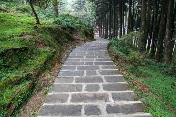 Promenadväg vid Alishan nationalpark område i Taiwan. — Stockfoto