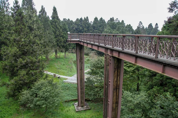 The wood sky walkway in alishan national park at taiwan. — Stock Photo, Image