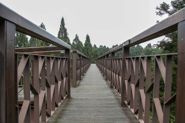 A passarela do céu de madeira no parque nacional de Alishan em Taiwan . — Fotografia de Stock