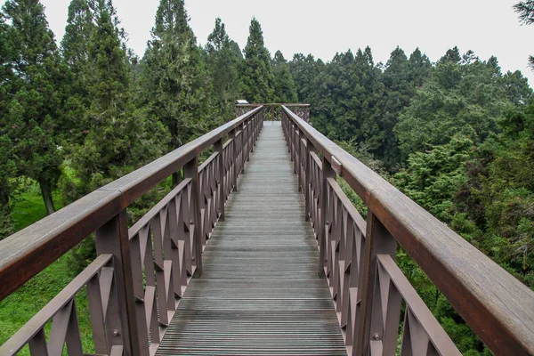 La passerella di legno nel parco nazionale di Alishan a Taiwan . — Foto Stock