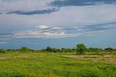 tayland yağmur fırtınası önce peyzaj yeşil alan
