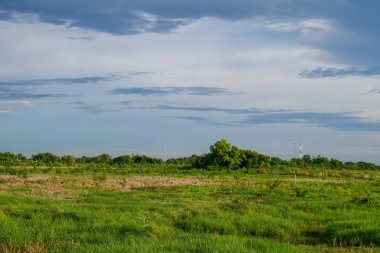 tayland yağmur fırtınası önce peyzaj yeşil alan