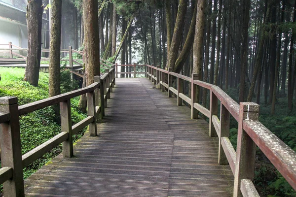 대만 알리산 국립공원의 나무로 인한 산책로 — 스톡 사진