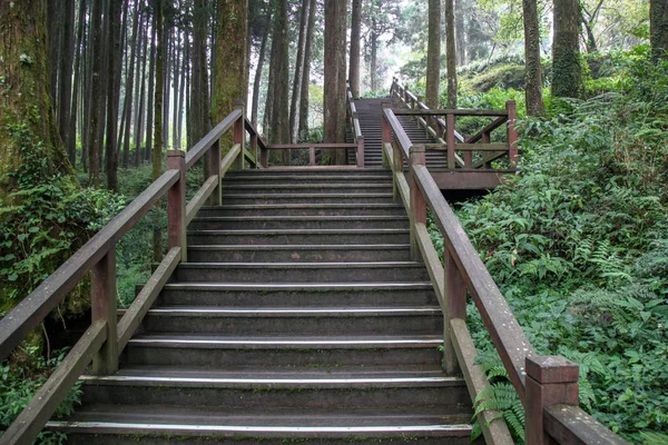 A passarela de madeira no parque nacional de Alishan em Taiwan — Fotografia de Stock