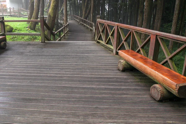 대만 알리산 국립공원의 나무로 인한 산책로 — 스톡 사진