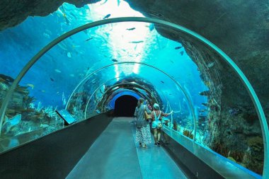 Singapur - 13 Nisan 2016: S.E.A Aqua tanımlanamayan ziyaretçi