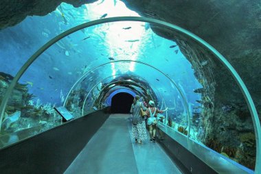 Singapur - 13 Nisan 2016: S.E.A Aqua tanımlanamayan ziyaretçi