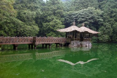 Yürüyüş yolu Tai Alishan Milli Park alanında Pavilyon gitmek