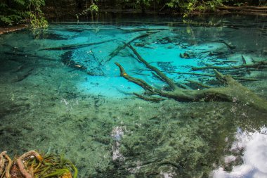 Tayland 'da ormanda zümrüt havuzu görünümü