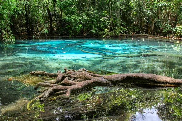 Kilátás Emerald Pool erdőben Thaiföldön — Stock Fotó