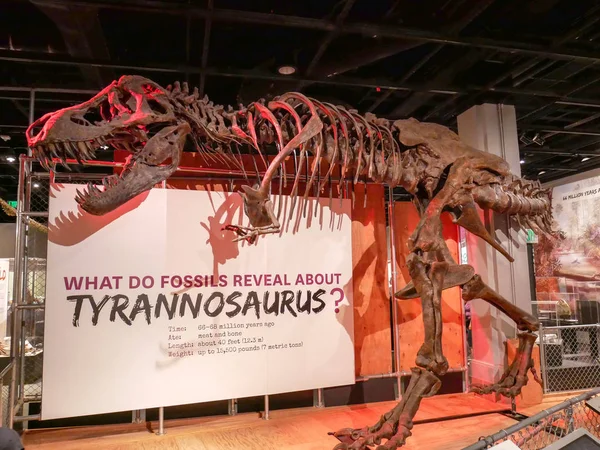 WASHINGTON DC, USA - JUNE 14, 2018: The Fossils tyrannosaurus at — Stock Photo, Image