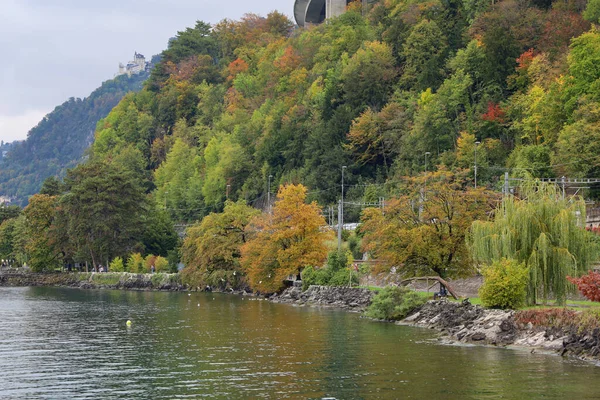 Vista Jardim Natureza Temporada Outono Perto Lago Genebra Suíço — Fotografia de Stock