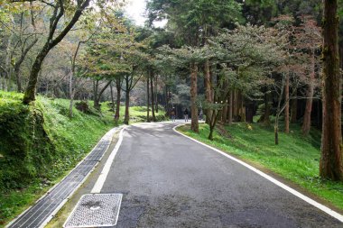 Alishan Ulusal Parkı 'ndaki Alishan tren istasyonunun yanındaki yürüyüş..
