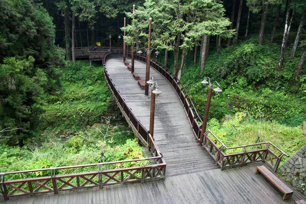 Ponte Legno Nella Foresta Alishan Taiwan — Foto Stock
