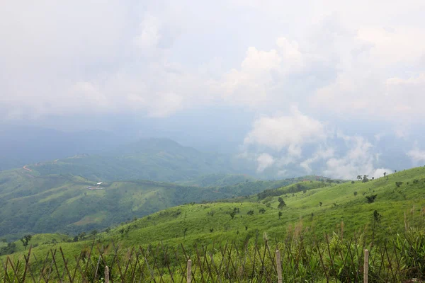 Vista Del Paisaje Hierba Verde Naturaleza Montaña Temporada Lluvias Tailandia — Foto de Stock