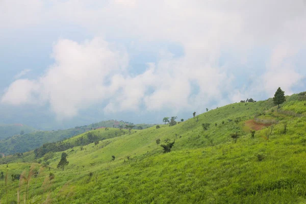 Vista Del Paisaje Hierba Verde Naturaleza Montaña Temporada Lluvias Tailandia — Foto de Stock