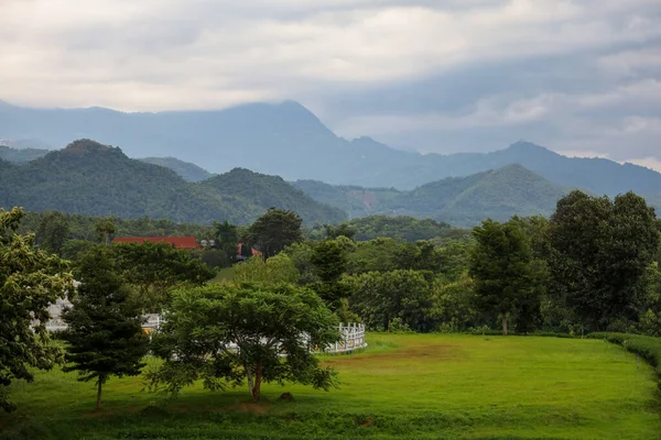 Chiang Rai Tajlandia Lipiec 2020 Widok Natury Krajobrazu Plantacji Herbaty — Zdjęcie stockowe