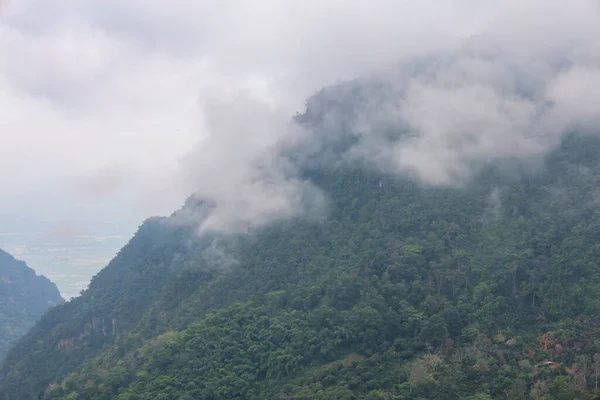 View Fog Forest Top Tree Mountain Thailand — Stock Photo, Image