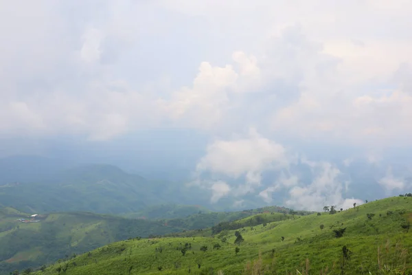 Vista Del Paesaggio Erba Verde Sulla Montagna Natura Nella Stagione — Foto Stock
