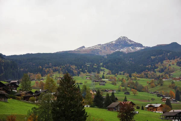 Вид Деревенской Деревни Природу Окружающую Среду Swiss — стоковое фото